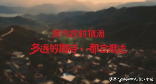 农村物流提速！中通韵达入股菜鸟旗下溪鸟物流