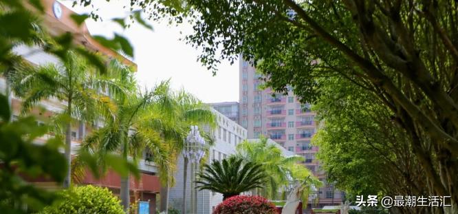 五华田家炳中学美术,五华田家炳中学简介