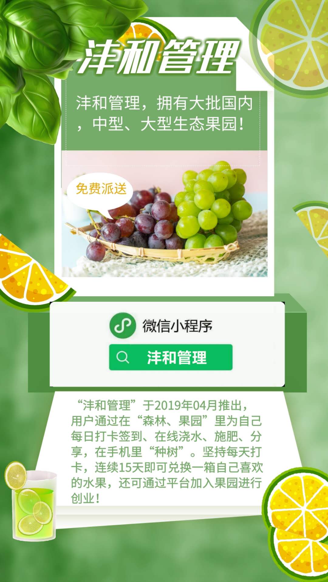 怎么清理杨梅中的虫子,杨梅里的白虫子怎么去除