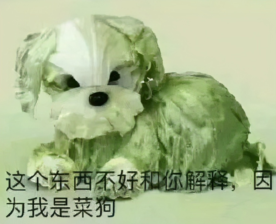 现实中还原菜狗表情包,菜狗表情包gif高清