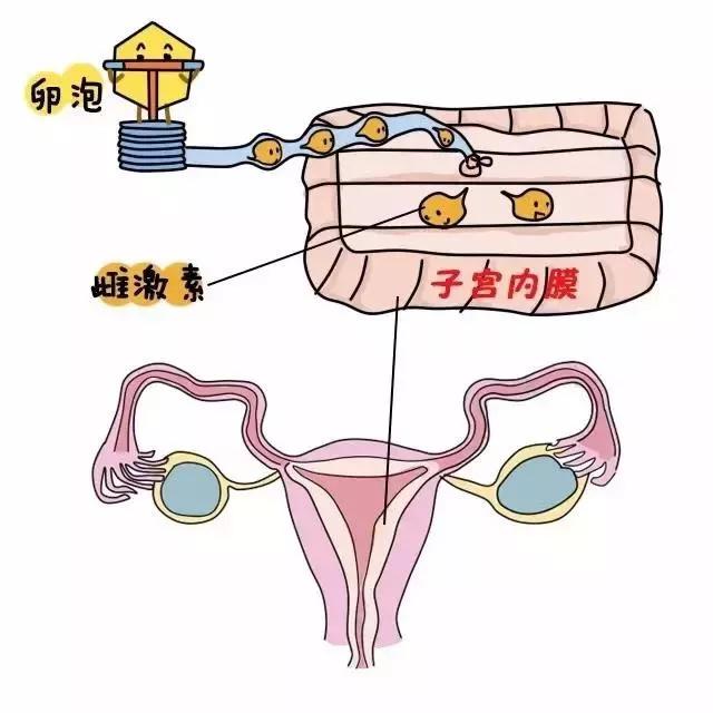 降调会治疗内异症吗,降调针对女性有什么影响