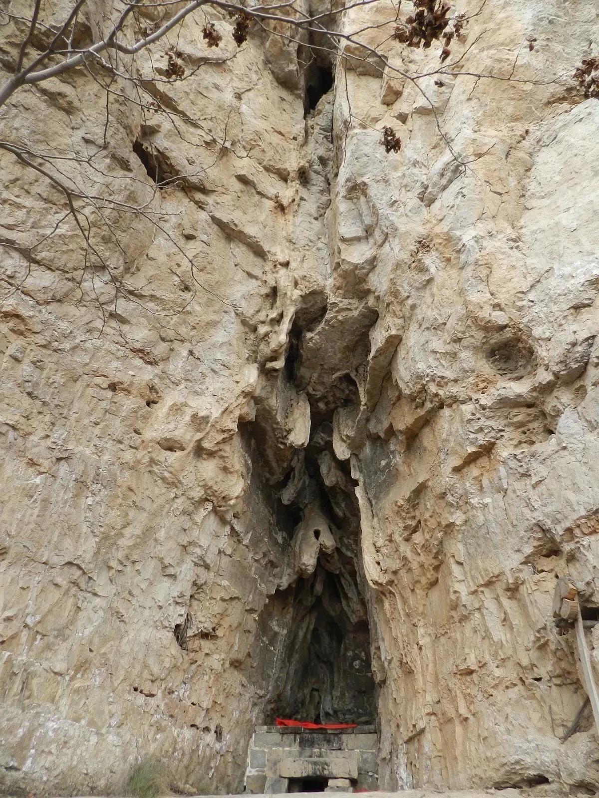 在山里迷路遇到狐狸,在山里迷路遇到了好漂亮的小姑娘