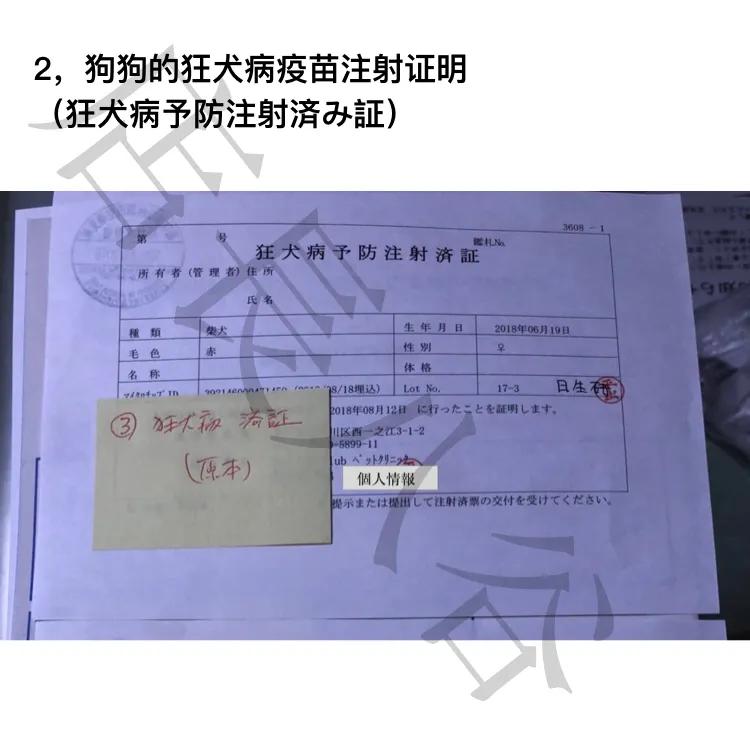 日本买了车怎么运回中国,日本柴犬带回中国