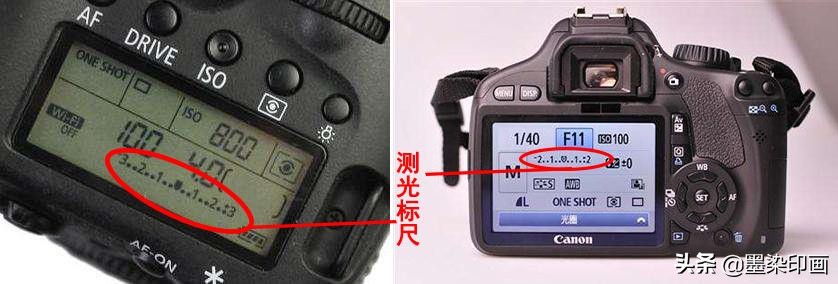 单反和微单哪个更适合新手,摄影新手适合单反还是微单