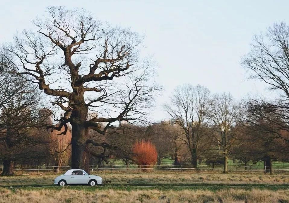 伦敦步行一日游攻略,伦敦人生活指南
