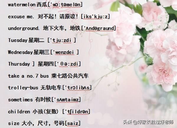 小学英语“单词表+音标”！给孩子贴墙上背熟，初中都领先一大截