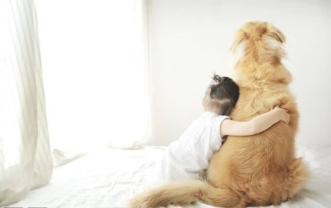 狗狗临终前想些什么,狗狗临终前的几种表现