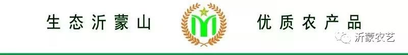 鉴赏茶叶礼盒,茶叶购买鉴赏指南