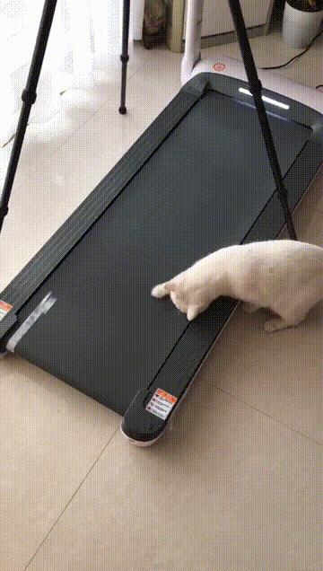 在家也能好好健身,宅在家也能健身