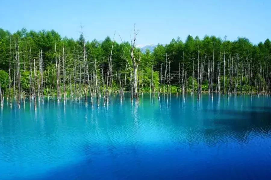 盘点那些年我看过的日本美景,日本美景8k超高清