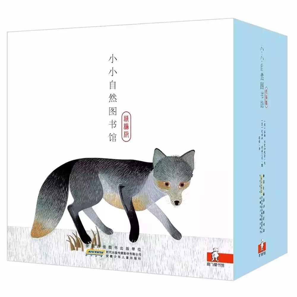 意大利畅销童书,意大利绘本世界十大著名童话