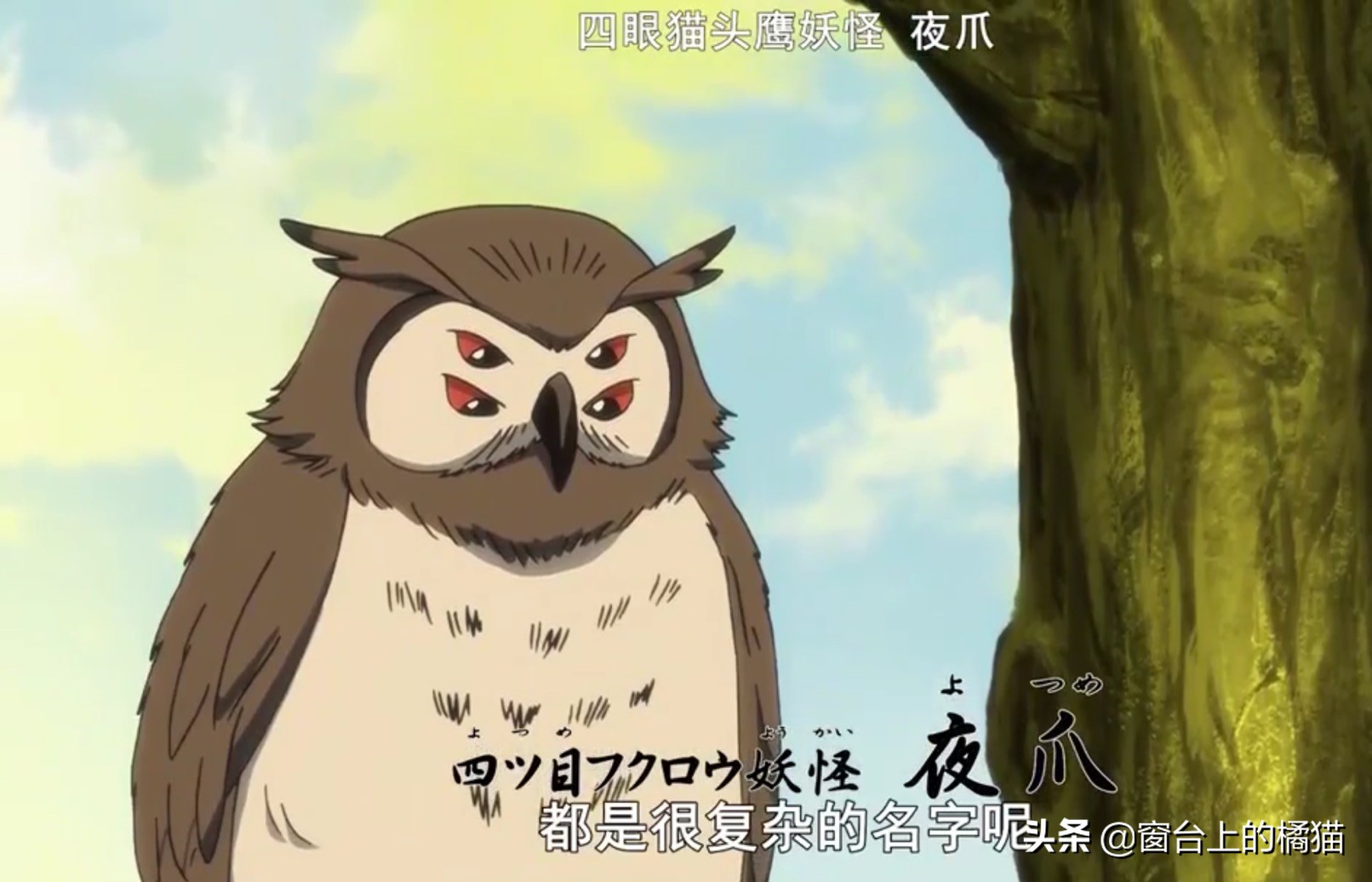 犬夜叉第二部半妖的夜叉姬15,犬夜叉第二部夜叉姬大结局21