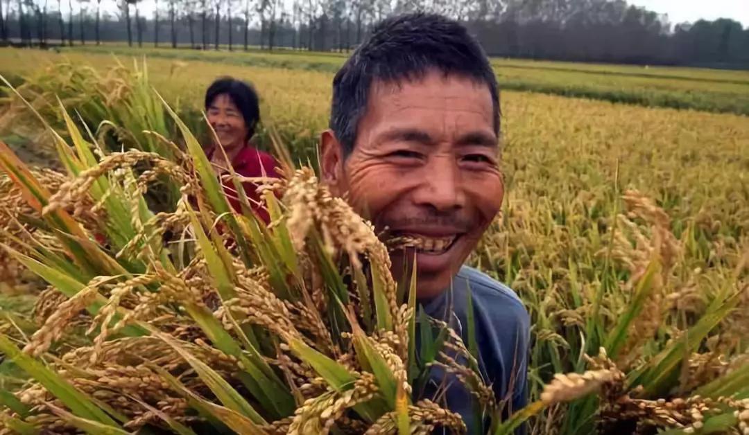 农业托管的新模式,农业托管的十种模式