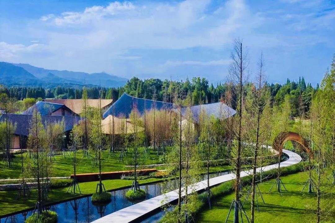 与共世界,与世界共眠