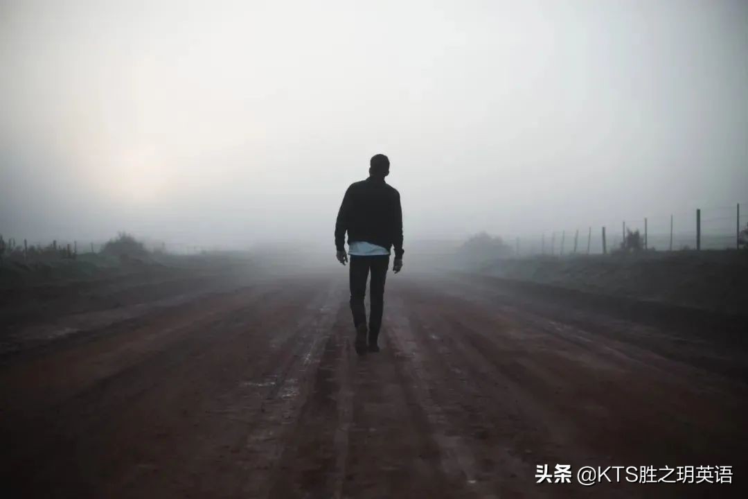 鐜悆瑙嗚1996,鐜悆瑙嗛噹搴缁撴灉