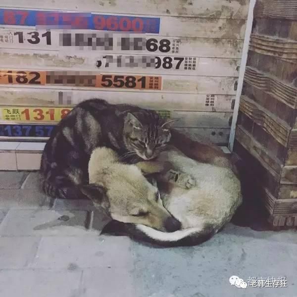 地震求生与自救技巧,生存狂在野外怎么逃生
