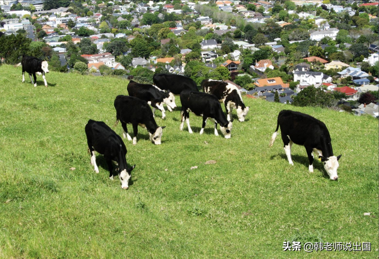 移民中国的真实生活,移民三年真实经历