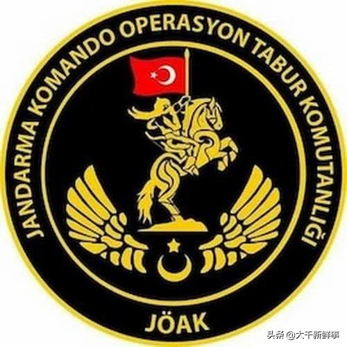 世界十大，不不不！是十支特种作战力量图赏