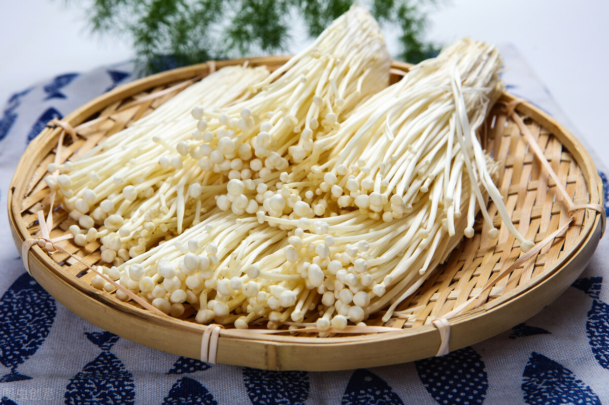 肠胃不好拉肚子吃什么菜好,肠炎吃什么菜好消化润肠道