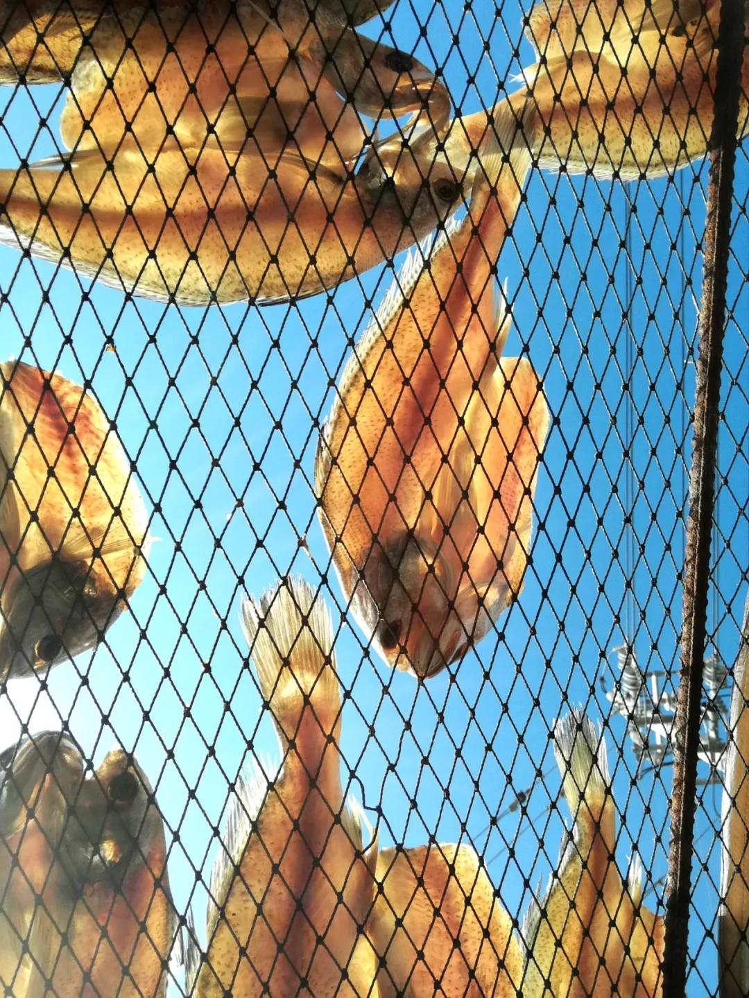 浙江冬天哪里风景最美,浙江冬天风景图片