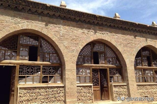 聪颖牧业｜朱合作：谜语之树