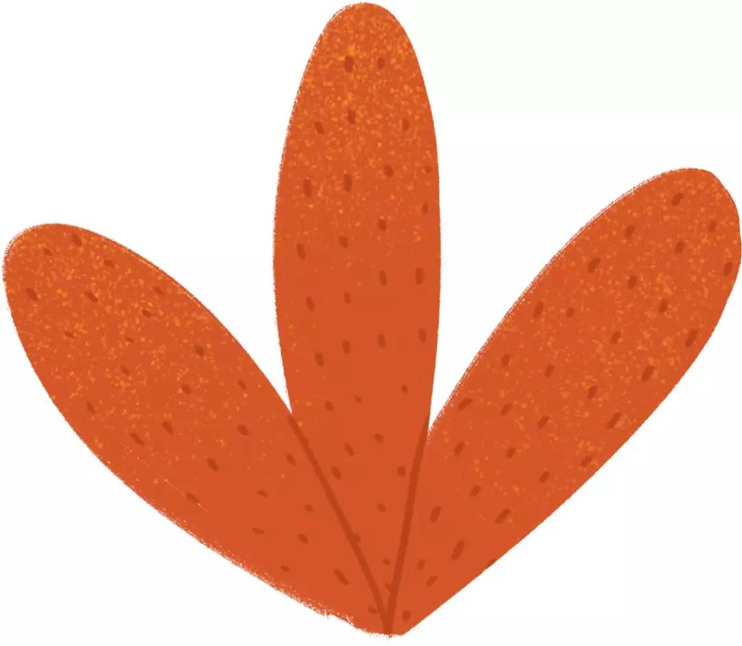 都在查看2019年账单？2020年流水提前爆料