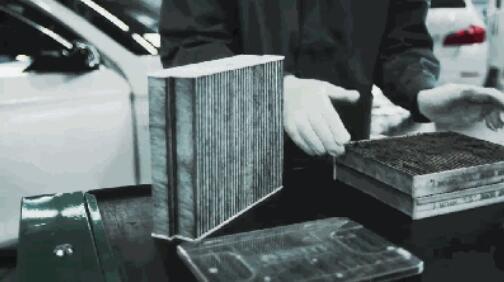 创新生态可持续,创新与生态