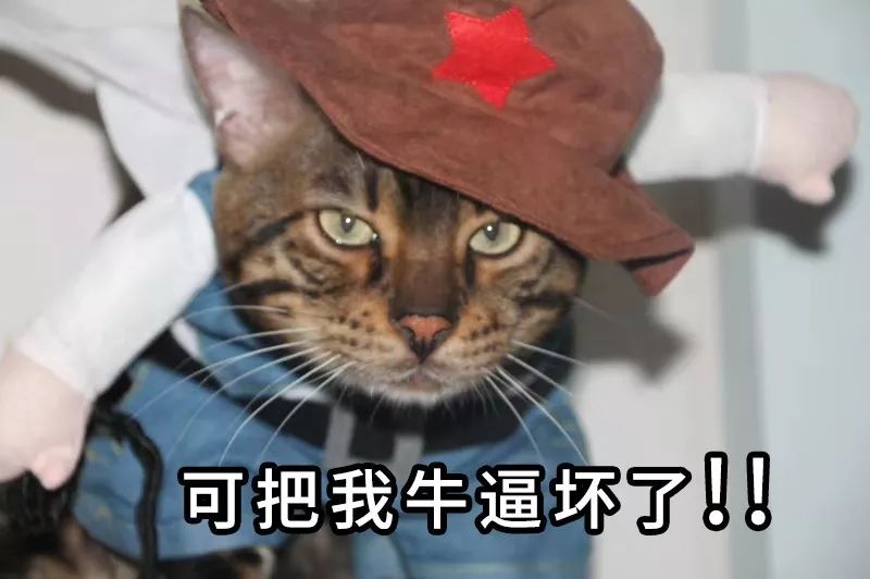 叶檀财经十大最没前途城市,叶檀财经十大潜力股2021