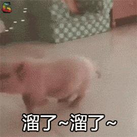 德国留学真的不建议去吗,关于留学你还想知道什么