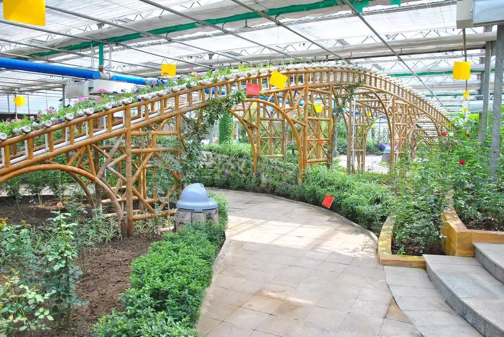 辽宁冬季去泡温泉哪里风景最好,冬天辽宁旅游攻略四天三晚