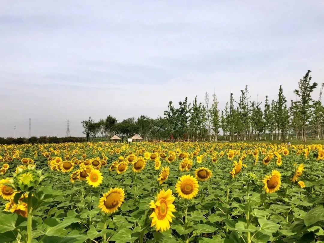 昆山张浦视频,昆山张浦最新消息