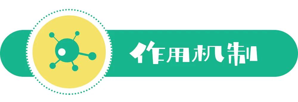 新冠肺炎干扰素雾化,新冠肺炎可以雾化干扰素吗