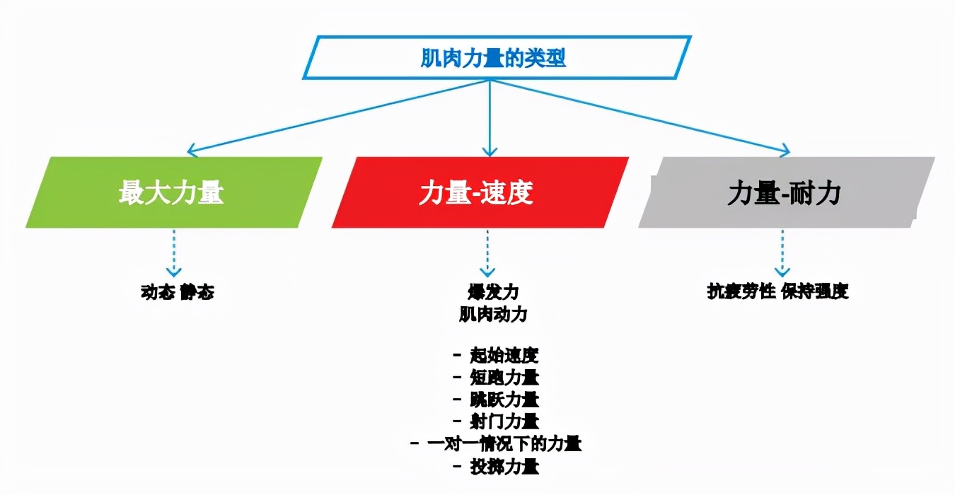 深圳王之者足球培训中心,王之者足球俱乐部体验课