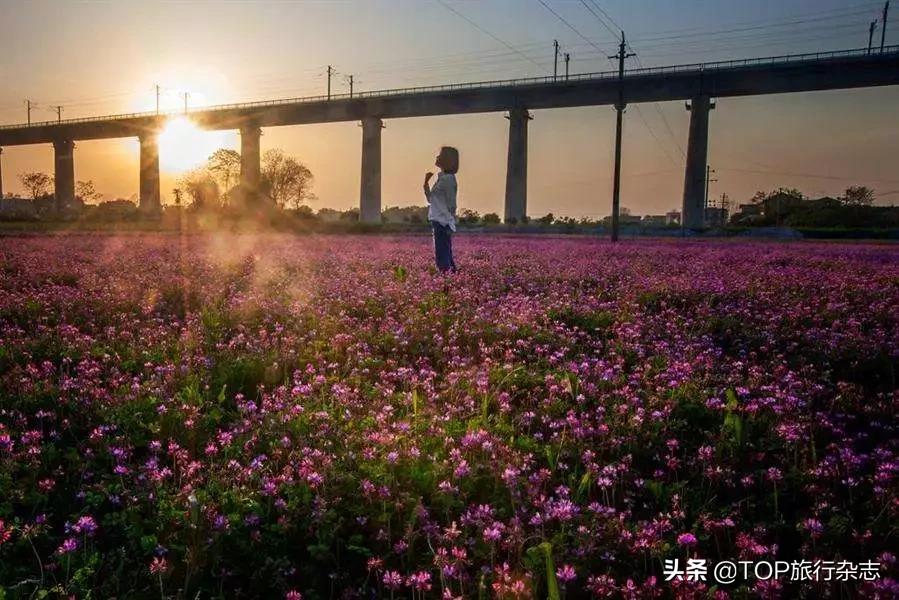 原来长沙隐藏了这14个人少景美的江心洲！不出城就能感受“海岛风情”，有些可以追溯到五代十国……