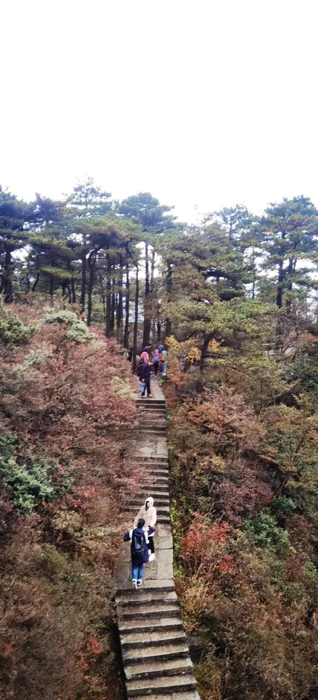 50岁回头看,五十岁回头望一望