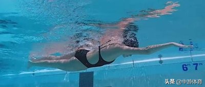 中游体育全浸自由泳,中游体育为什么自由泳打腿不前进