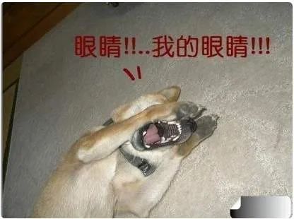 灯光频闪是怎样对眼睛造成伤害,灯光闪伤眼最有效的办法