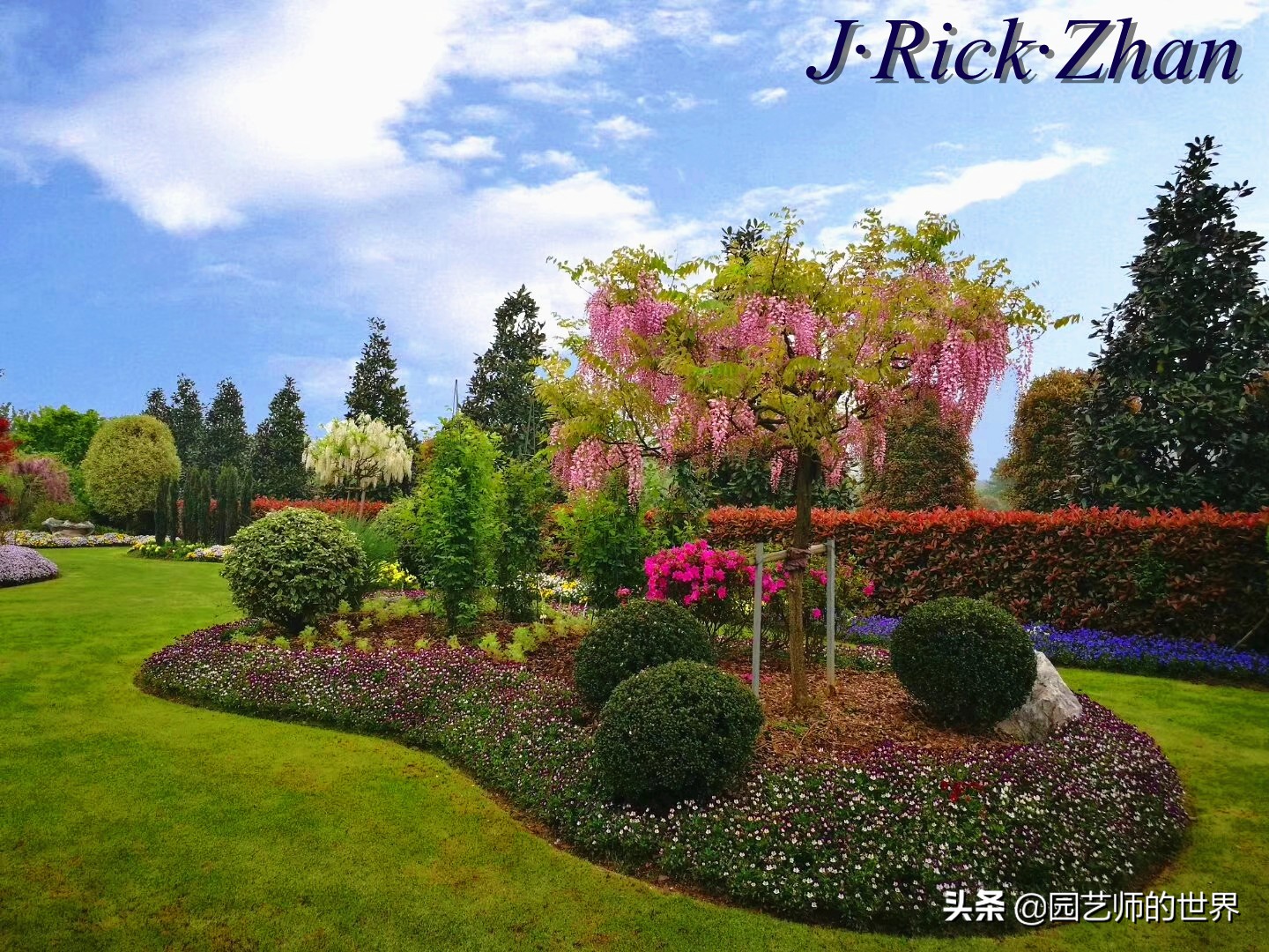 城市蔬菜园景观设计,蔬菜花园造型