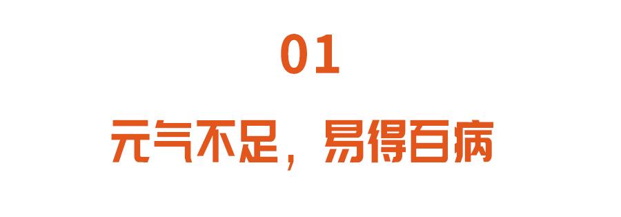 元气不足吃哪些菜更好,补脾胃补元气最好的食物