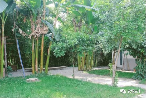 总共花了不到700元改造的废弃小院,花4万改造房子