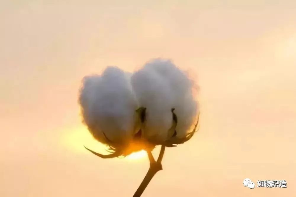 便宜浴巾和贵的浴巾的区别,超细纤维浴巾和纯棉哪个好