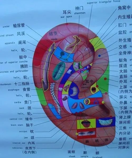 麦粒肿好了又患腮腺炎，我是得了啥绝症？