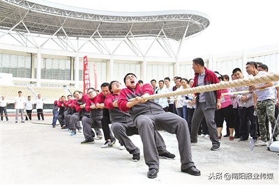 改革开放四十年体育事业的变化,改革开放南阳新变化