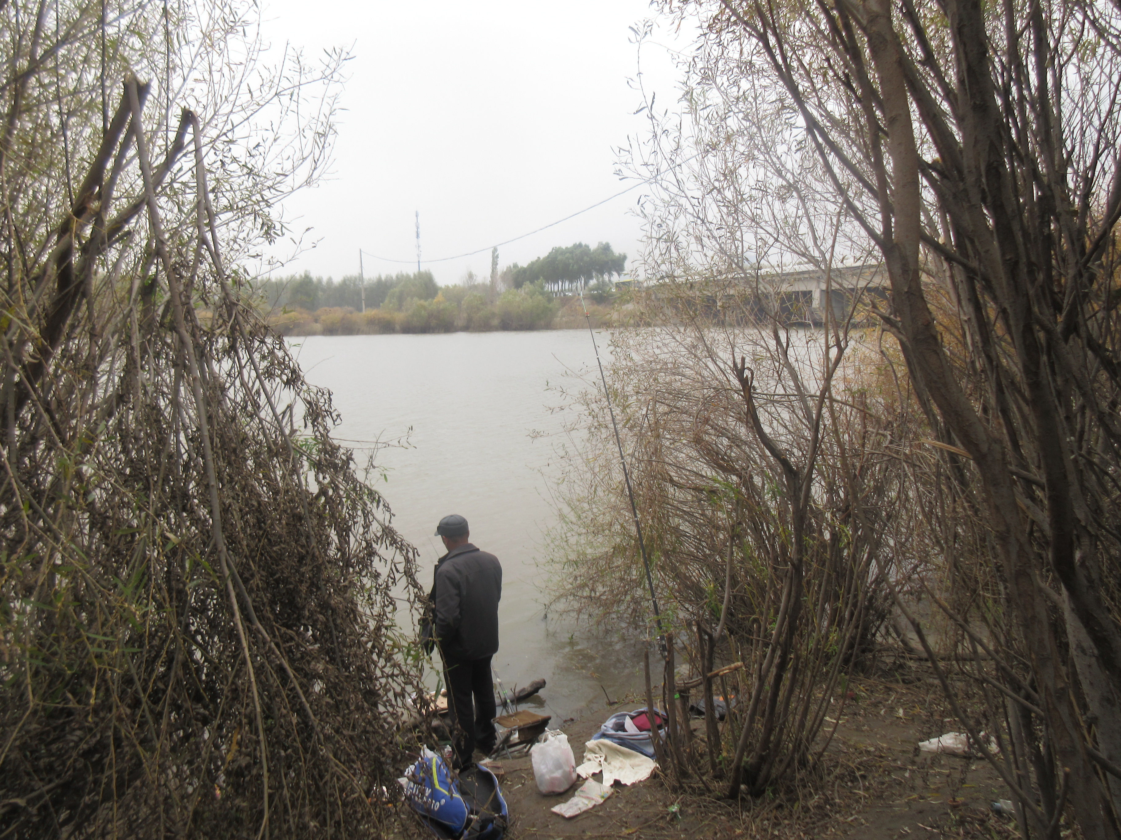 常去的钓点为什么现在水很清澈,长期在污染地方钓鱼