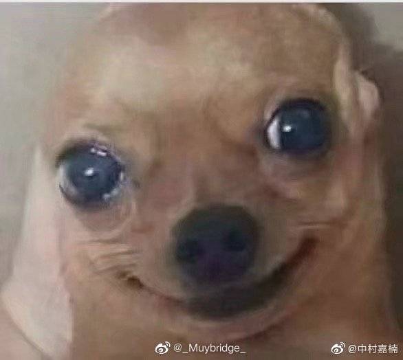 一个倒霉蛋的两年驾考途,完整版