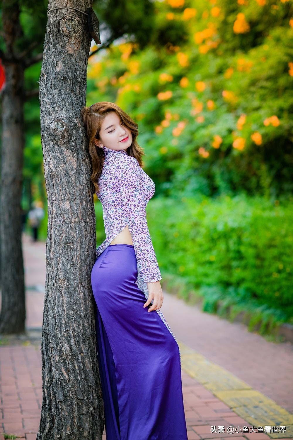 索尼a7r3画质对比佳能eos5d4,索尼a7r3和佳能r5对比哪个好