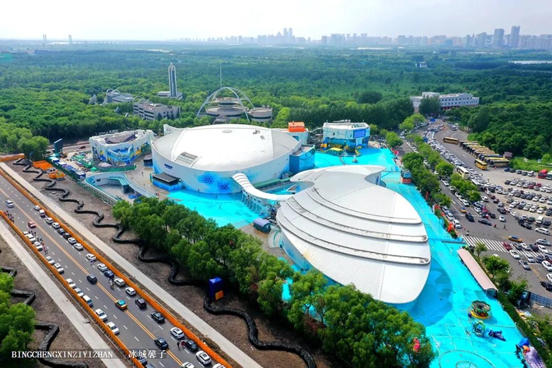 走进哈尔滨完整视频,走进哈尔滨海洋馆