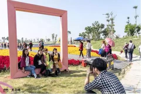 小榄菊花展团购,小榄菊花会2020门票