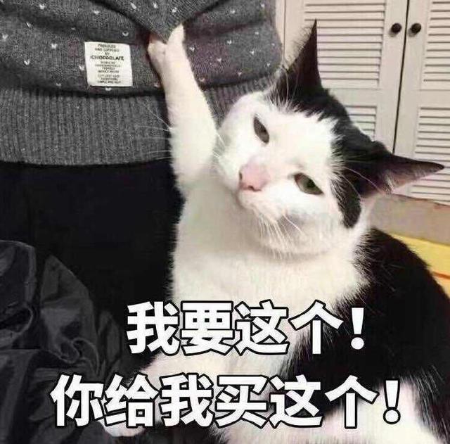 彩妆蛋成石头？唇釉成胶棒？在这里只要他想，没有不敢