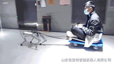 轻量级智能机器狗,最新款智能机器狗推荐